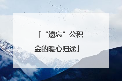 “遗忘”公积金的暖心归途